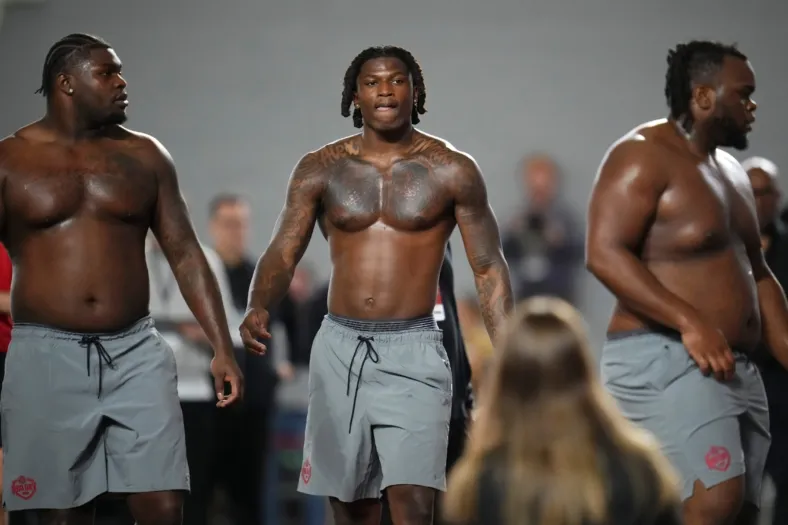 Arvell Reese: Ohio State Star's Meteoric Rise to NFL Draft Prospect - Image 1