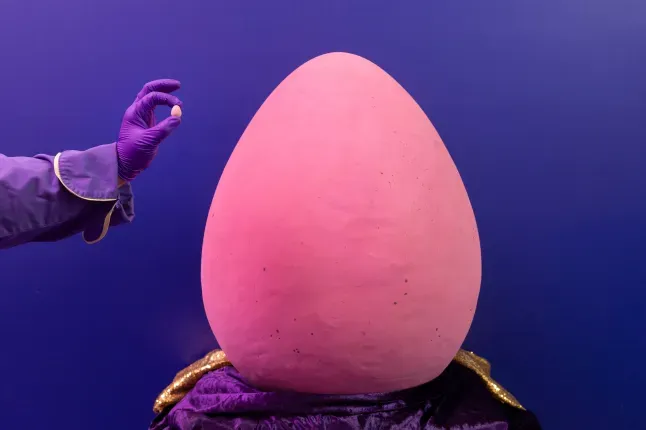 Cadbury Presenta el Huevo Mega Mini para Pascua: Un Gigante de Chocolate - Image 2