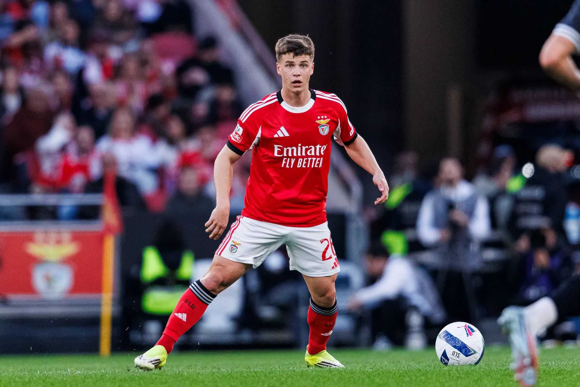 Man Utd Eyes Mourinho's Star! Transfer Bid Incoming for Benfica's Dahl - Image 2