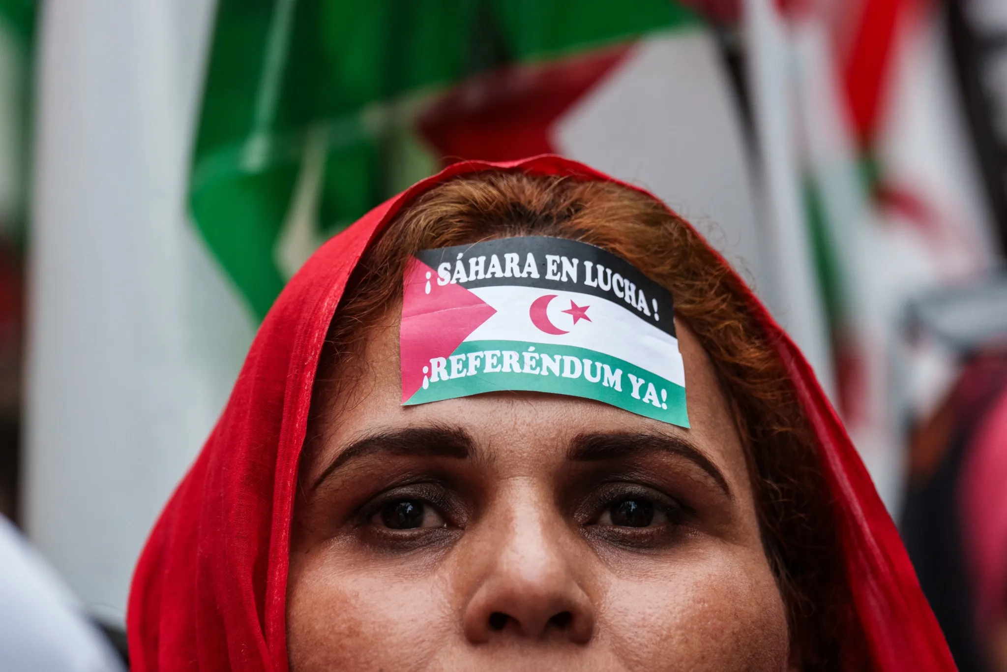 SADR: 50 Years of Struggle, Hope, and International Recognition