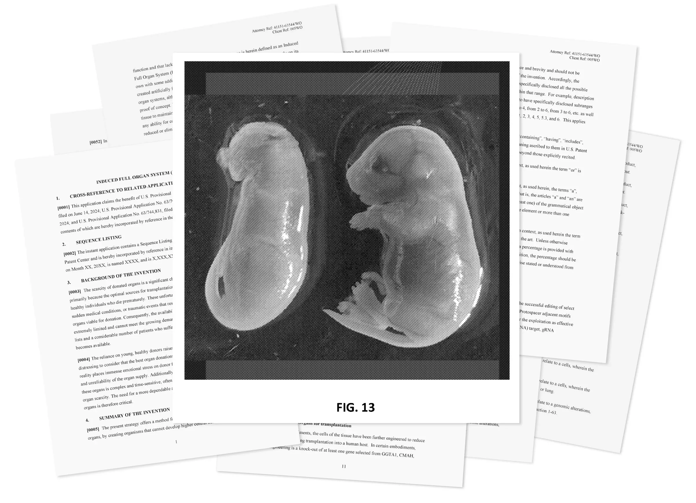 La Startup Secreta que Propone Clones Humanos Sin Cerebro - Image 2